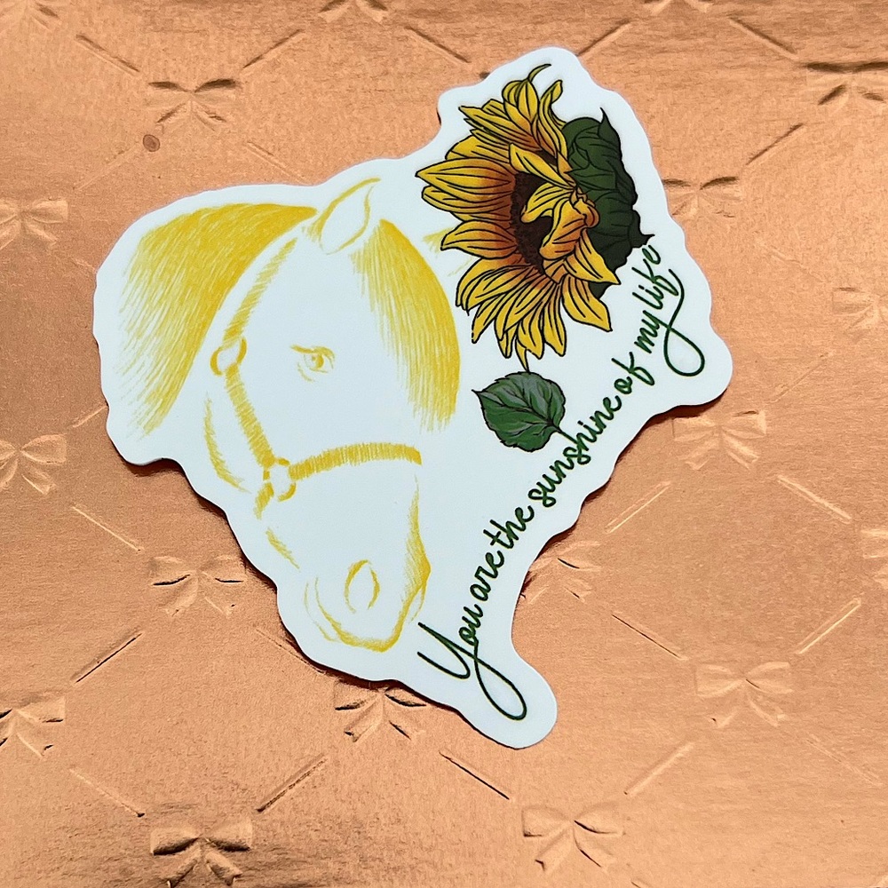 You are my Sushine Equestrian Horse Girl Horse Boy Cowboy CowGirl Single Sticker
